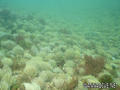 foto de buceo