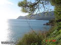 foto de buceo