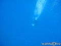 foto de buceo