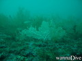 foto de buceo