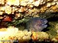 foto de buceo