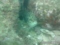 foto de buceo