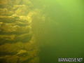 foto de buceo