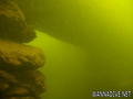 foto de buceo