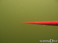 foto de buceo