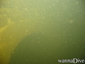 foto de buceo