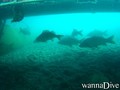 foto de buceo