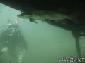 foto de buceo