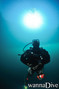 foto de buceo