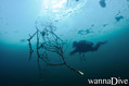 foto de buceo