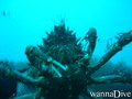 foto de buceo
