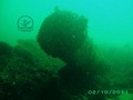 foto de buceo