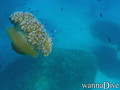 foto de buceo