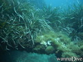 foto de buceo