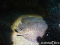 foto de buceo