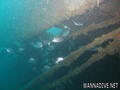 foto de buceo