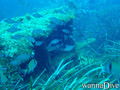 foto de buceo