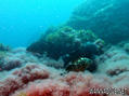 foto de buceo