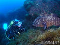 foto de buceo