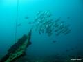foto de buceo