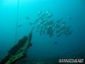 foto de buceo