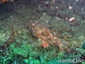 foto de buceo