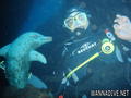foto de buceo