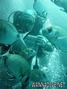 foto de buceo