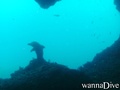 foto de buceo