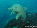 foto de buceo