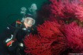 foto de buceo