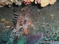 foto de buceo