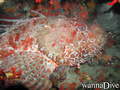 foto de buceo