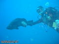 foto de buceo