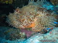 foto de buceo