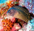 foto de buceo