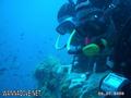 foto de buceo
