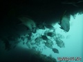 foto de buceo
