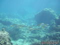foto de buceo