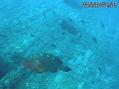foto de buceo