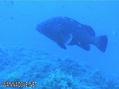 foto de buceo