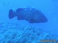 foto de buceo