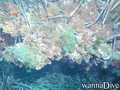 foto de buceo