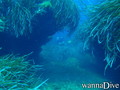 foto de buceo
