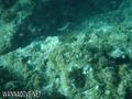 foto de buceo