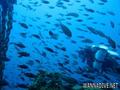foto de buceo