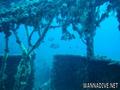 foto de buceo