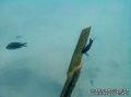foto de buceo