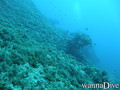 foto de buceo