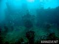 foto de buceo